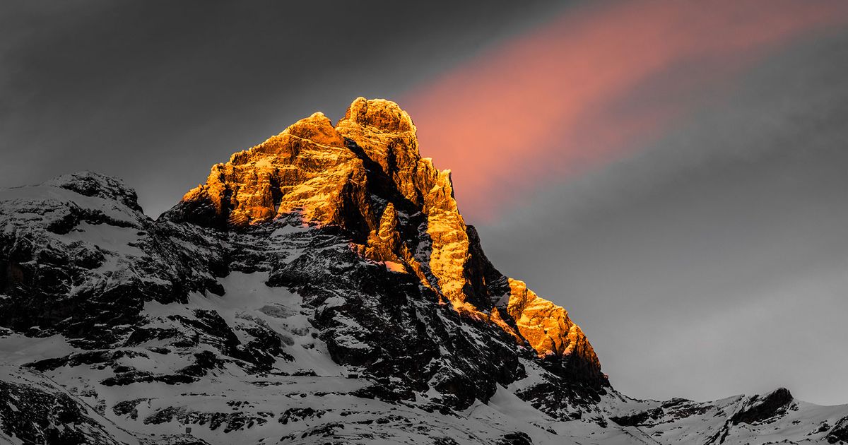 The Mountain Guides